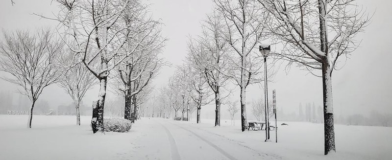 강천섬캠핑장 시설 사진 7