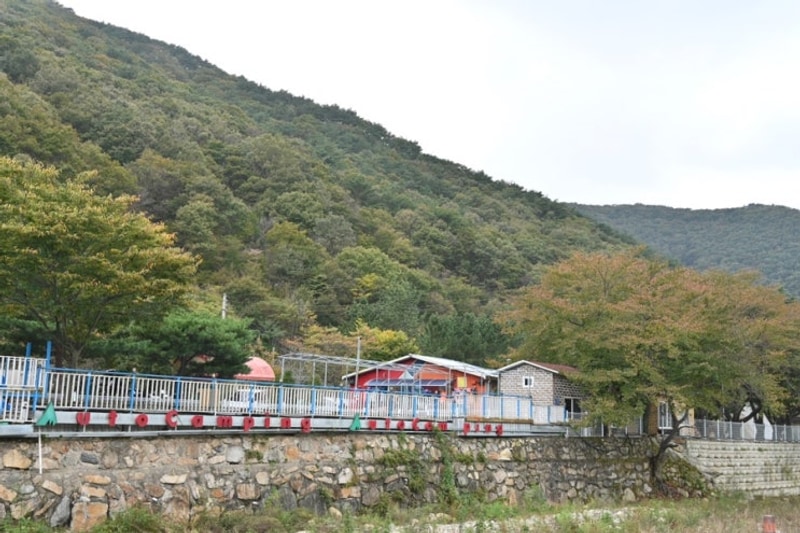 경주캠핑장 반딧불이캠피장