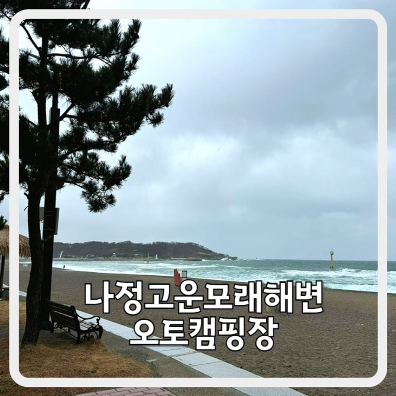 경주 감포 차박 캠핑 명소 나정고운모래해변 오토캠핑장 후기