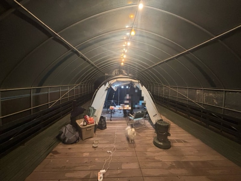 연천 랩도그빌애견캠핑장 서울근교 오프리쉬 가능, 애견...