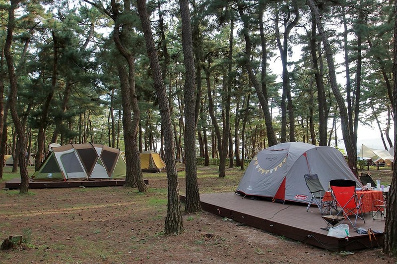 연곡해변 솔향기캠핑장 시설 사진 24