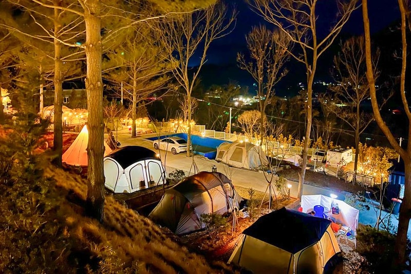 배방관광농원 시설 사진 17