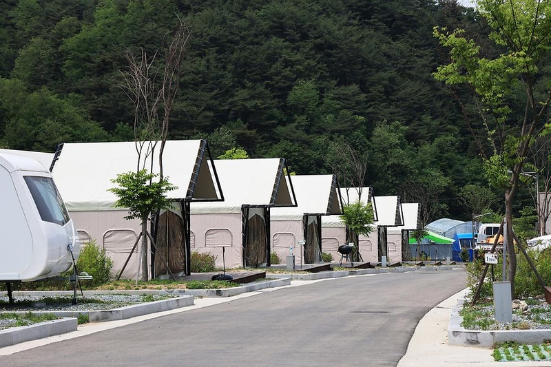 곰취향 가득한 팔랑골 캠핑장 시설 사진 8