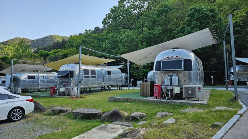 담양 카라반 선인장 호스텔 불멍