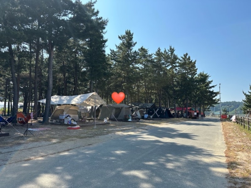 강원도양양캠핑장 - 양양북분솔밭캠핑장 후기(c구역3)