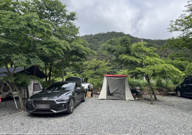 [캠핑장] 경주 캠프어게인