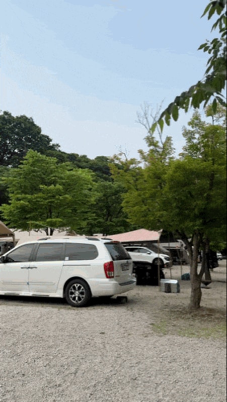 포천 파피루스 캠핑장 후기, 수영장 있고 가족 단위 가기 좋은 곳