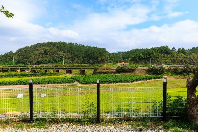 느티담길 캠핑장 시설 사진 2