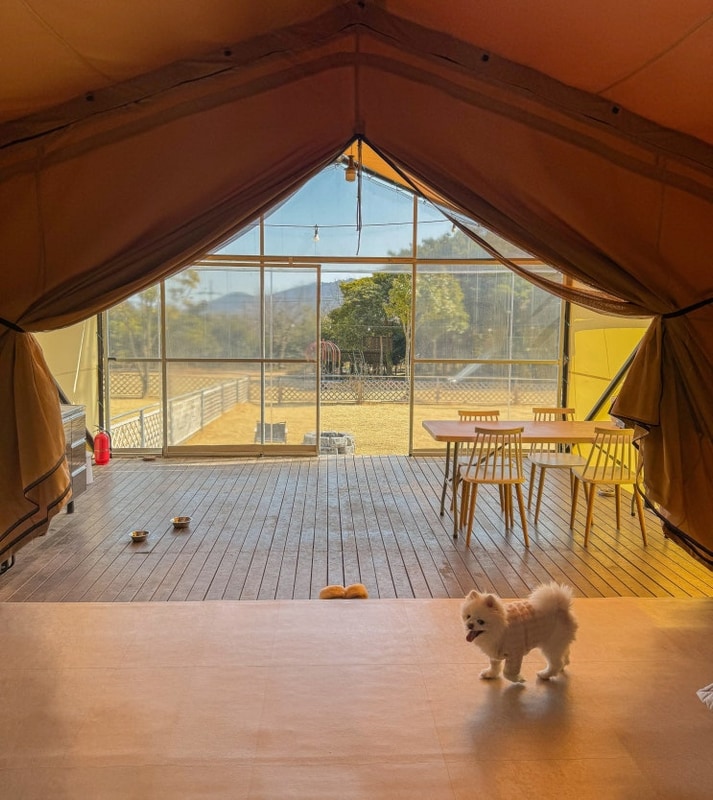 전남 애견동반 글램핑 숙소 장흥 땡땡이글램핑 벌써 3번째 방문