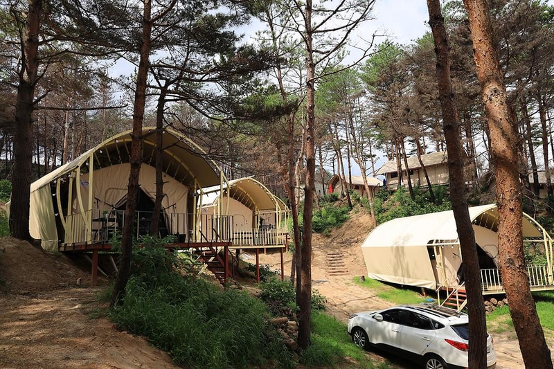 속초 밤하늘글램핑 시설 사진 3