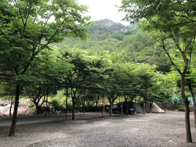 대구 근교 청도 여름 계곡 캠핑장 추천 조은자리캠핑장