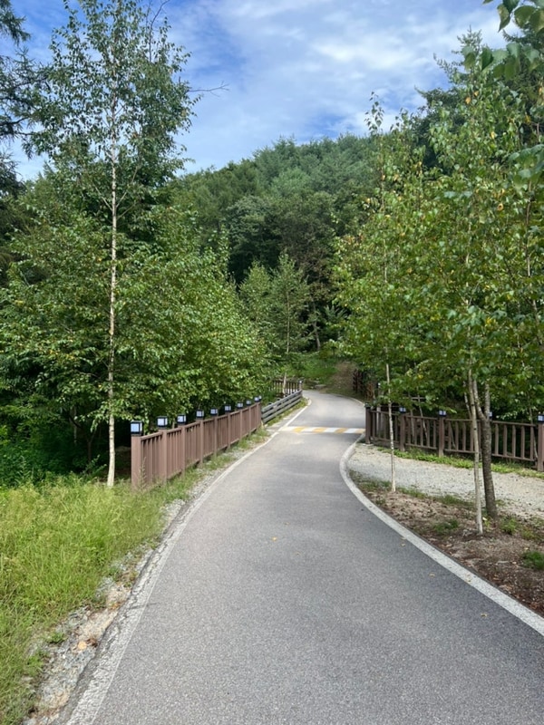 #24 국립화천숲속야영장, 10월 넷째주, 가을 막바지 아쉬움