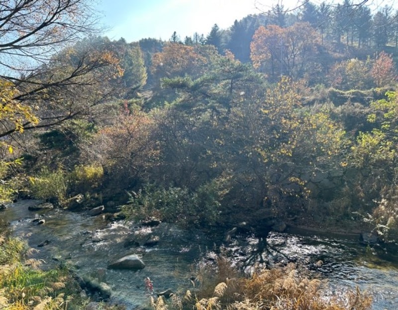 시원한 계곡 옆 타프 사이트_늘편한캠핑장