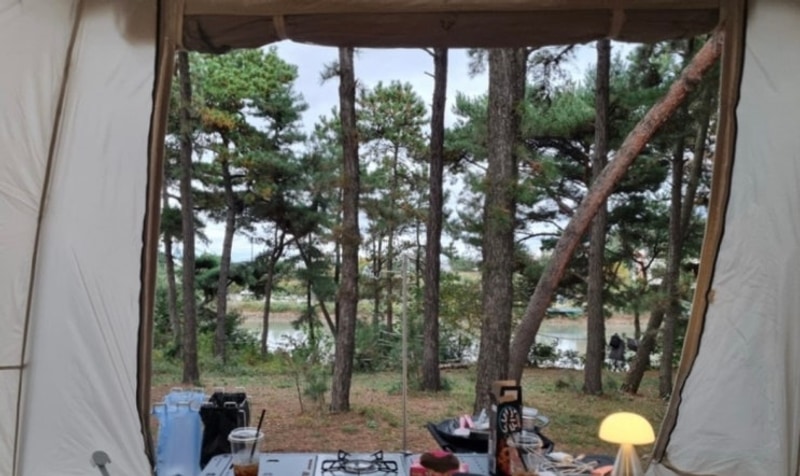 [안산 캠핑장] 자연 속에서 힐링을, 대부도 아라뜰캠핑장...