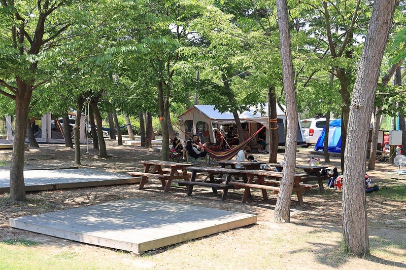 청포대숲속야영장 시설 사진 10