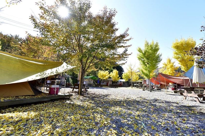 이우캠핑장 시설 사진 6