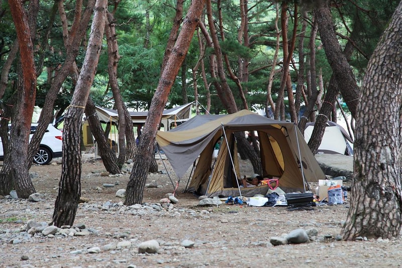 대포숲캠핑장 시설 사진 6