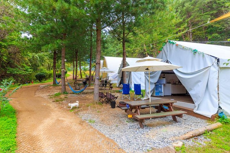 수피아글램핑펜션 대표 사진