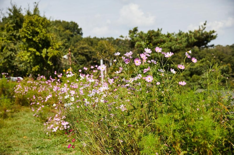 참살이 가족 캠핑장 시설 사진 11
