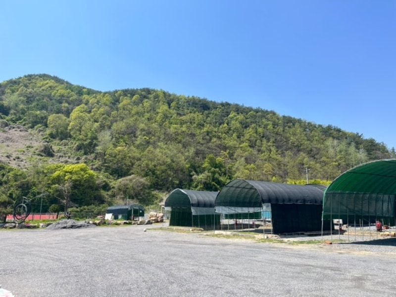 단양노동오토캠핑장 내돈내산 솔직리뷰