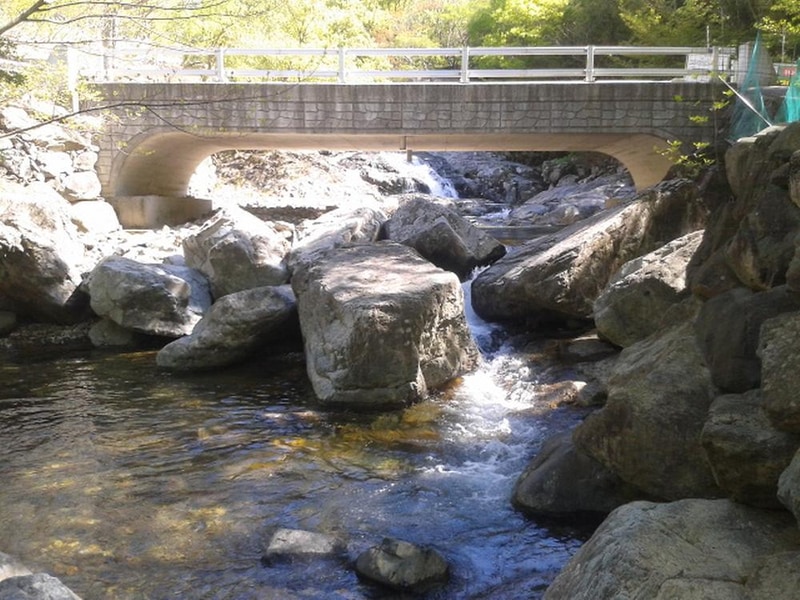 빛 생명 숲 사지목 시설 사진 2