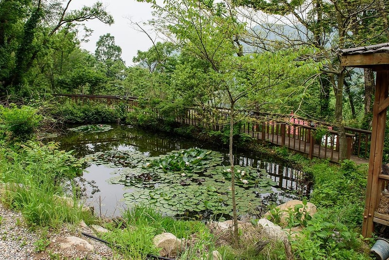 경주 힐링캠프 시설 사진 4