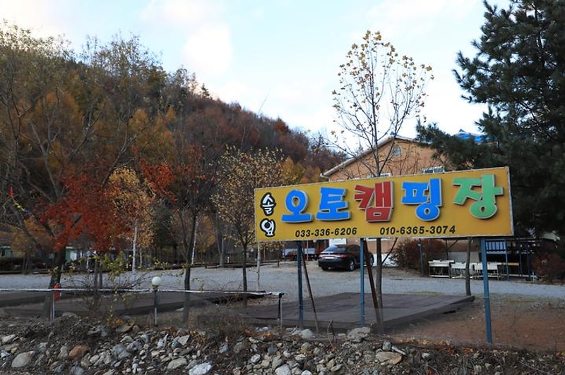 솔잎오토캠핑장 대표 사진