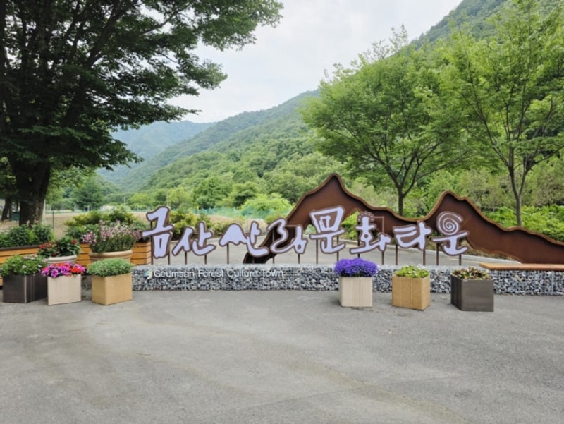 당일치기 여행 코스 금산산림문화타운(계곡, 캠핑장, 펜션)