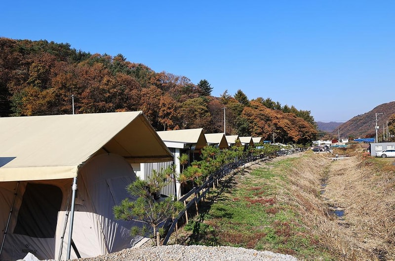 숲속의쉼터 키즈 시설 사진 12