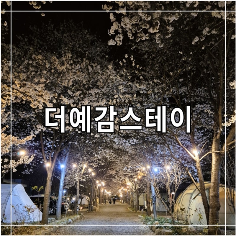 경남 산청 캠핑장 더예감스테이, 벚꽃캠 후기