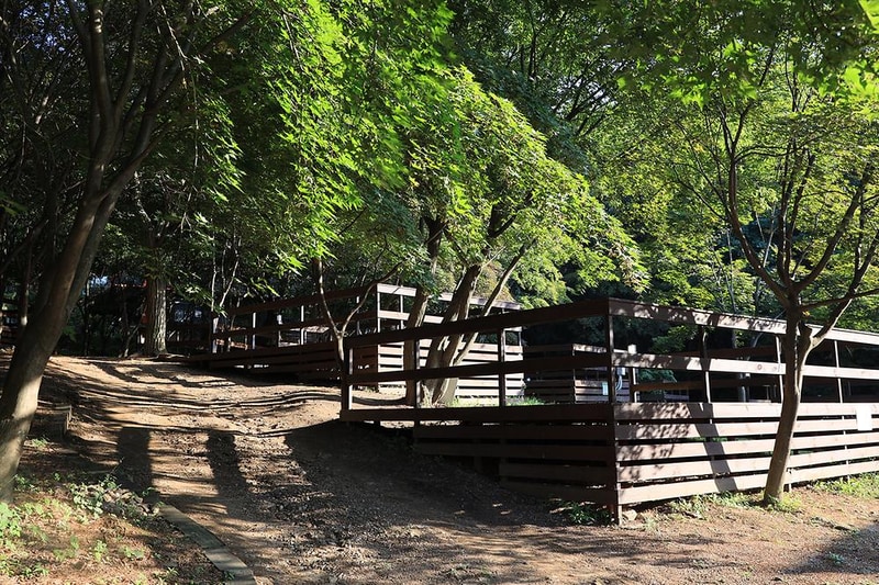 아프리카예술박물관 캠핑장 시설 사진 22