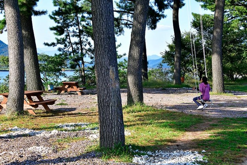 조개섬 야영장 대표 사진