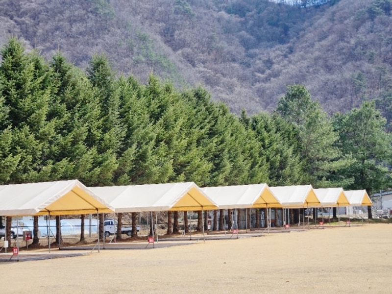 영월 야단법석캠핑장 오픈! 잔디밭ok 애견동반ok