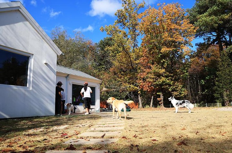 타이니포춘 대표 사진