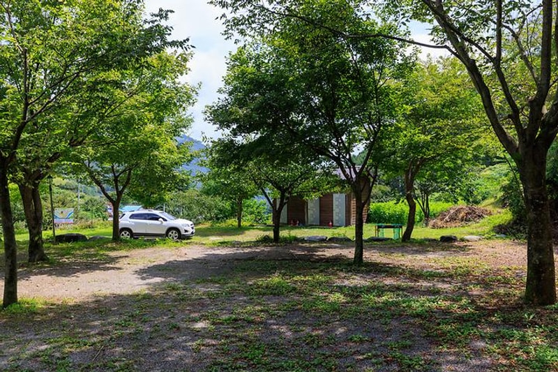 계곡 좋은 펜션 야영장 대표 사진