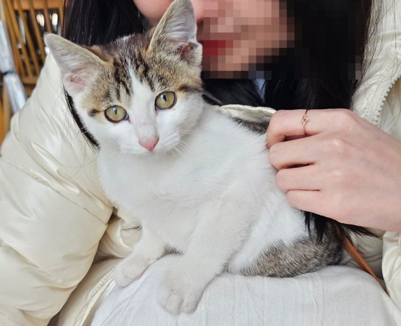 양양 글램핑 라라플레이스 또 다녀옴 feat. 하조대반점