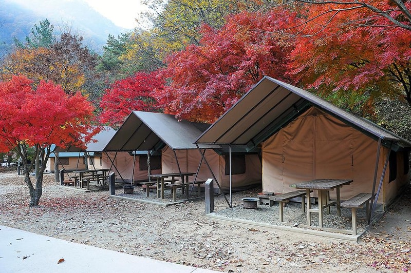 소백산국립공원 남천야영장 시설 사진 11