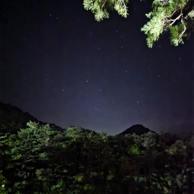 양양캠핑 오색산새소리캠핑장 방문 1박 후기, 계곡캠핑장...