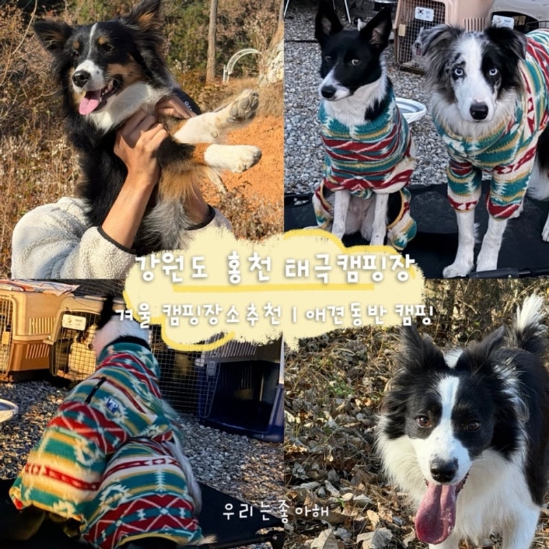 [홍천 태극캠핑장] 강원도 별스팟 겨울캠핑장소 추천 야경맛집