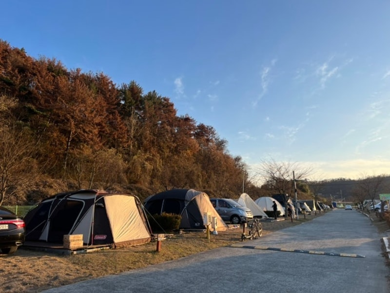 김해 생림오토캠핑장 내돈내산 후기 예약방법 화장실 이용꿀팁...