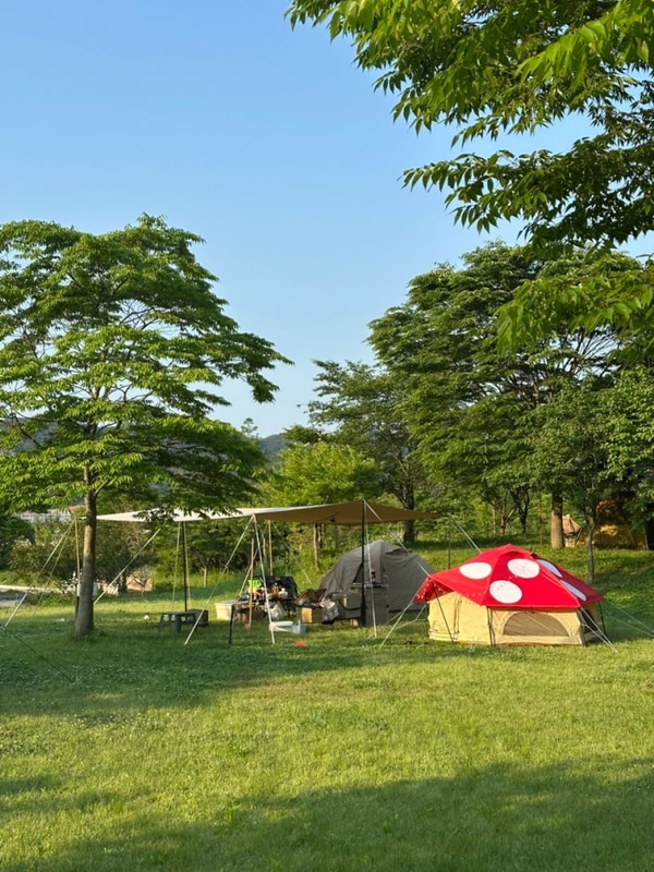 [전북] 광주에서 1시간도 안 걸리는 고창 보다더캠핑 첫 방문...