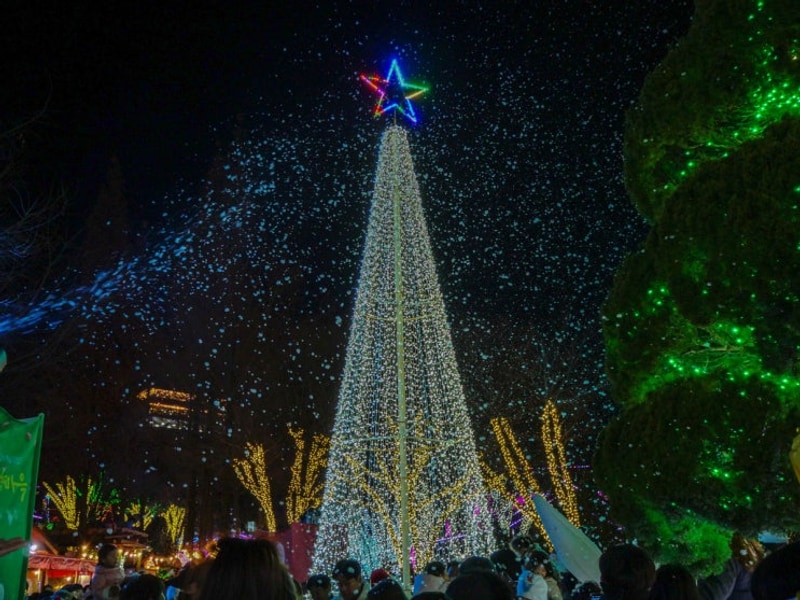 청도 프로방스 크리스마스... 산타마을 빛축제 글램핑 썰매