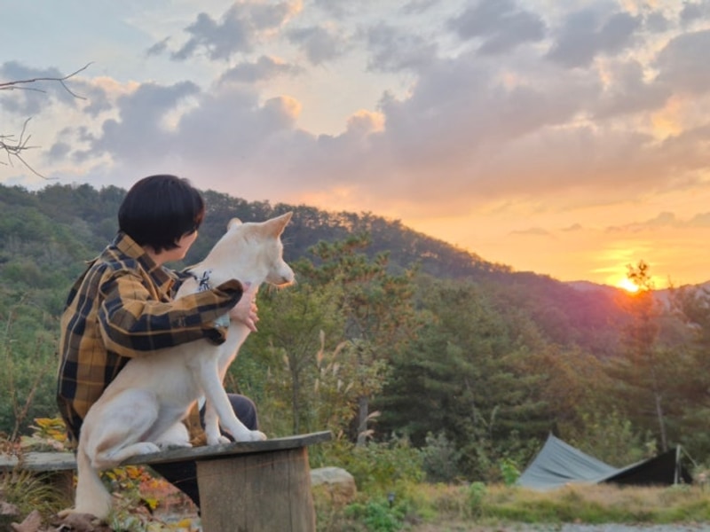 파노라마 마운틴 단풍 뷰 홍천태극캠핑장 솔직 후기!