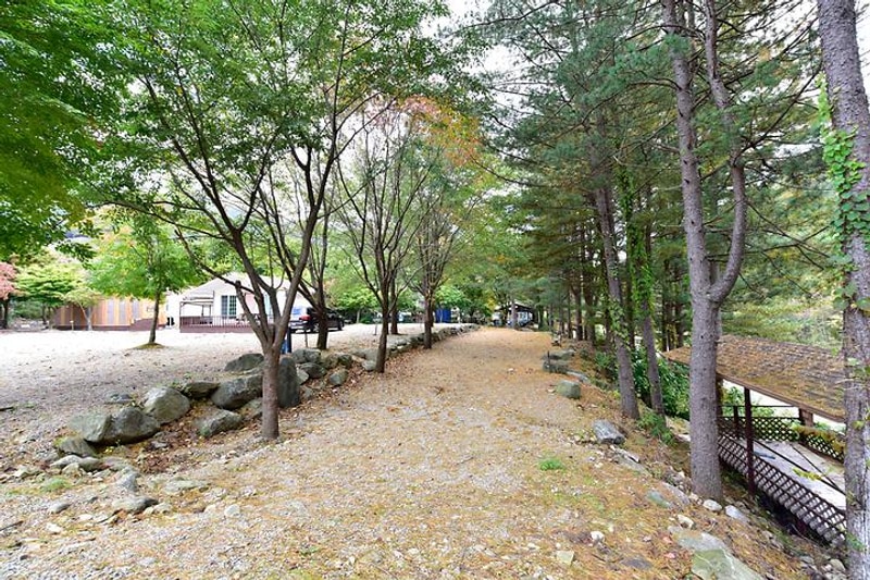 계곡풍경캠핑장 대표 사진