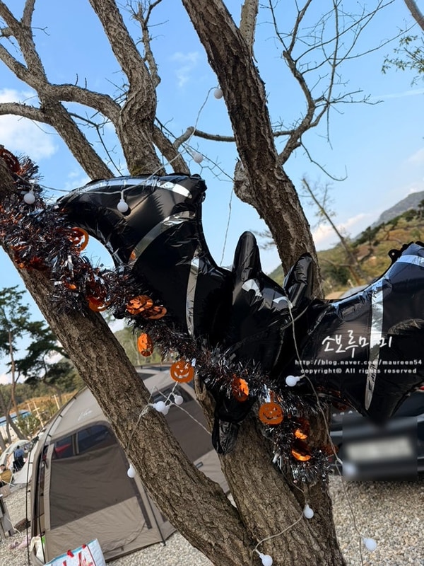 원주 칠봉송정캠핑장 / 25.10.25-26. 1박2일 방문