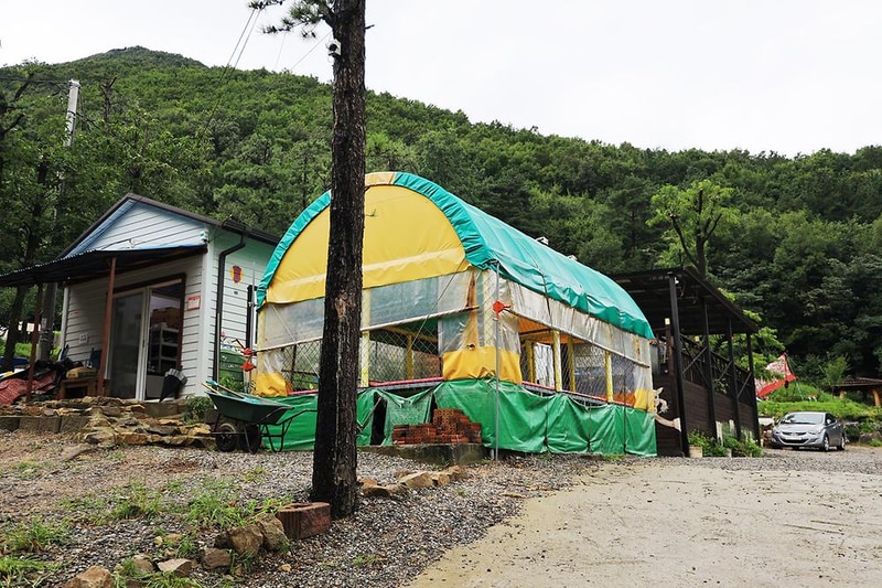 용인 자연숲 캠핑장 시설 사진 16