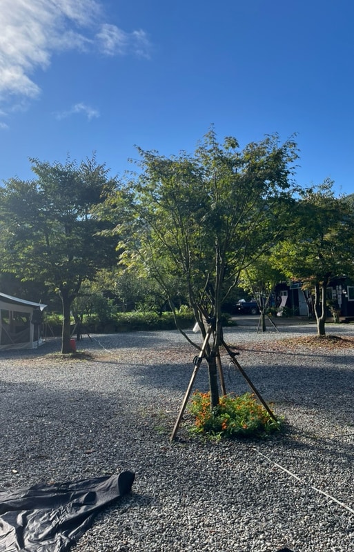 [양평/서종] 수입리캠핑장