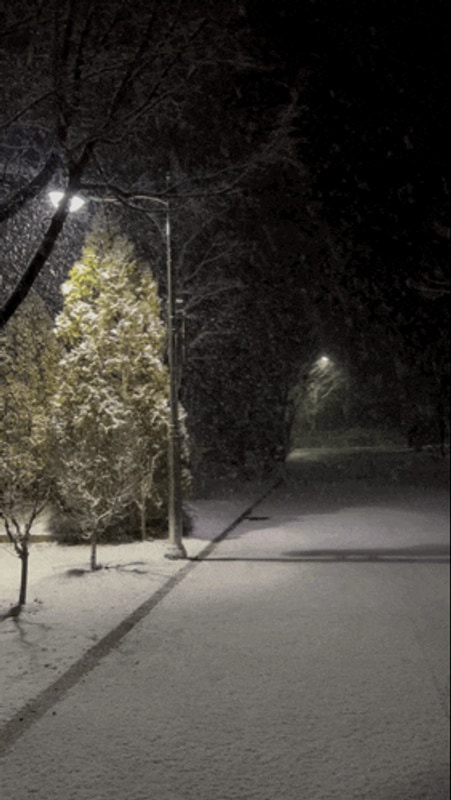 [완주] 고산 무궁화 오토캠핑장 방문 후기