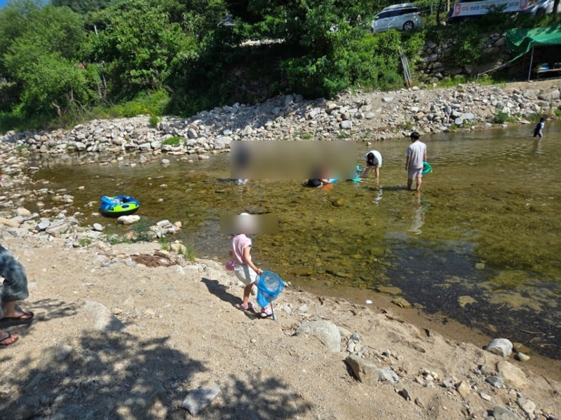 [군위야영장] 여긴 숨겨진 계곡 명소! 군위 솔밭야영장에서...