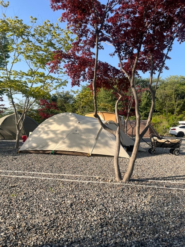 파주 자유로캠핑장 B-7 사이트 스노우피크 어메니티돔 M...